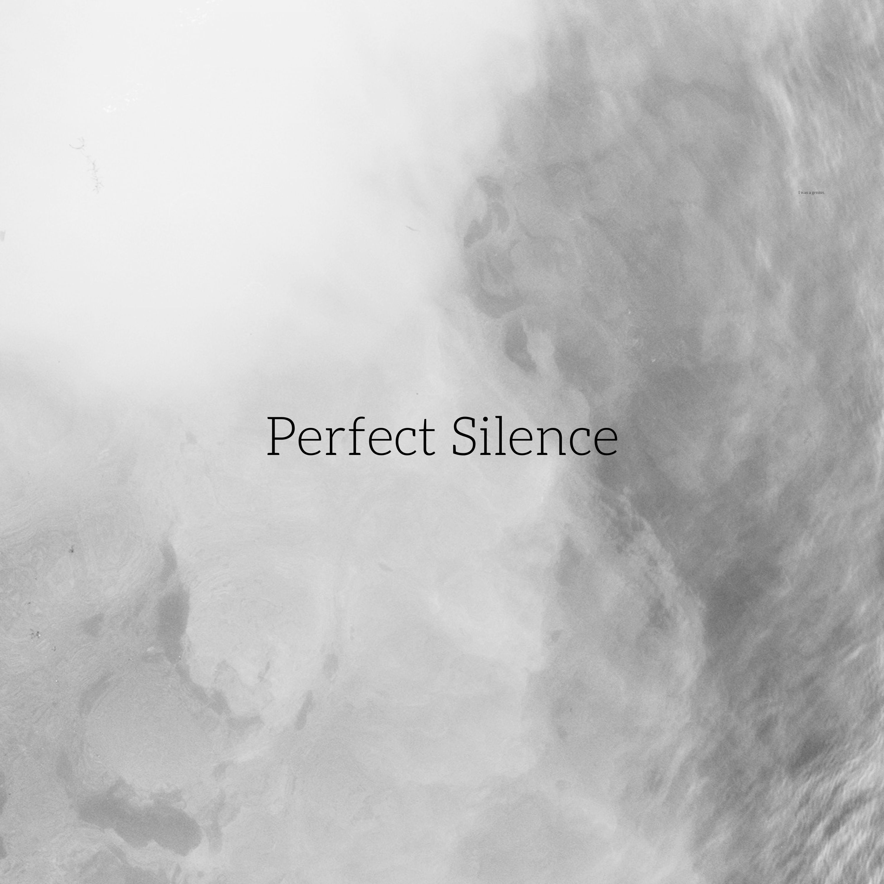 Logo for the'Perfect Silence' project.